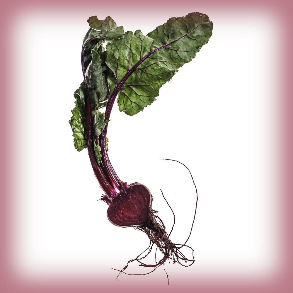 Red Beet